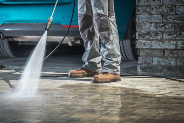 Professional Pressure Washing in Valrico, FL