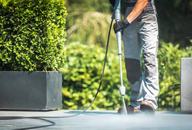 Best Rust Removal  in Valrico, FL