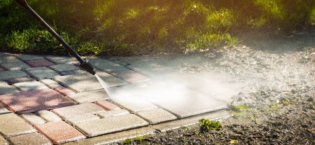 Best Driveway Pressure Washing  in Valrico, FL